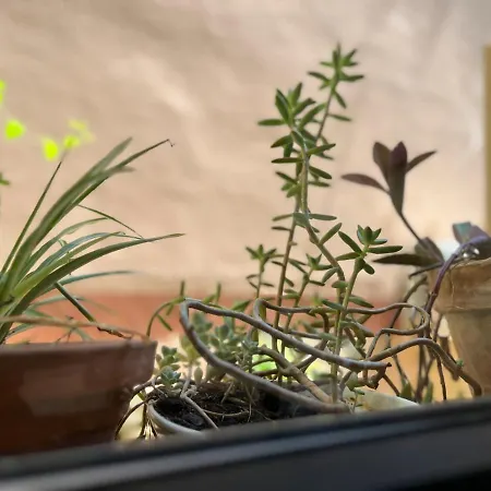 Atalantar * ビジャヌエバ・デ・ラ・ベラ