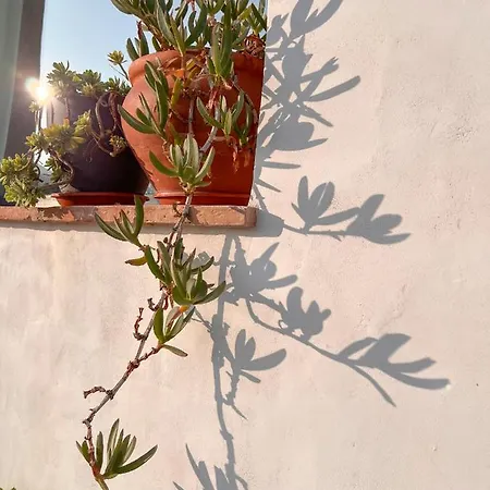 Apartment Atalantar *