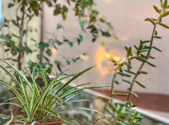 Appartement Atalantar *