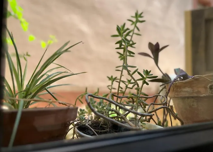 Atalantar * Villanueva De La Vera