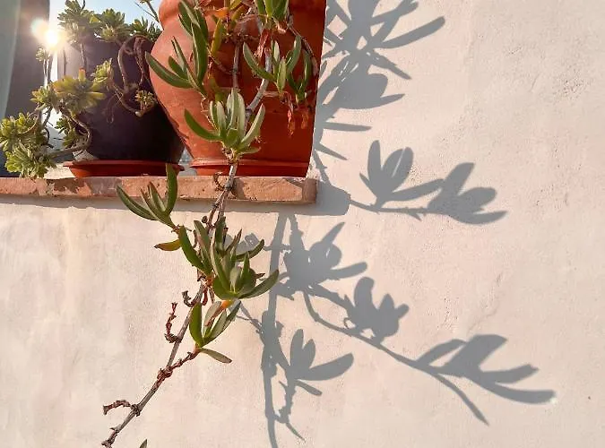 Appartement Atalantar *