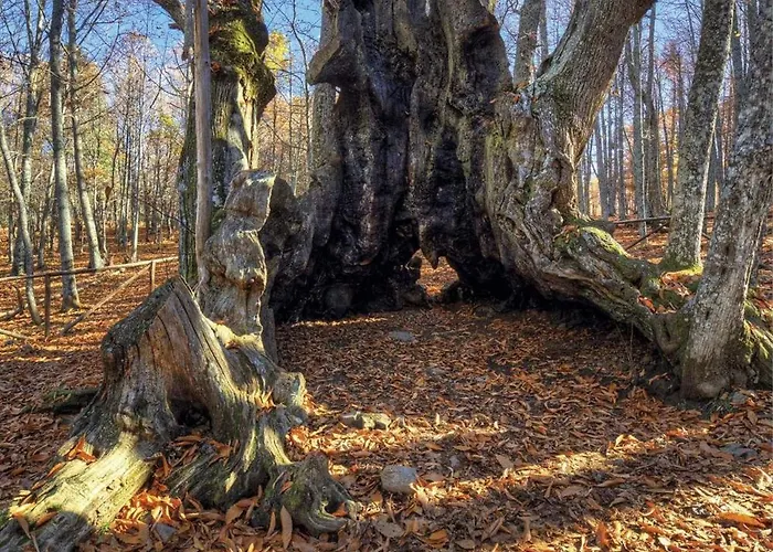 Atalantar Villanueva De La Vera